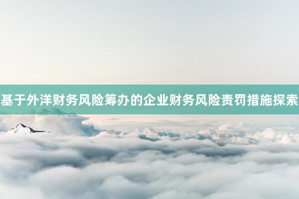 基于外洋财务风险筹办的企业财务风险责罚措施探索