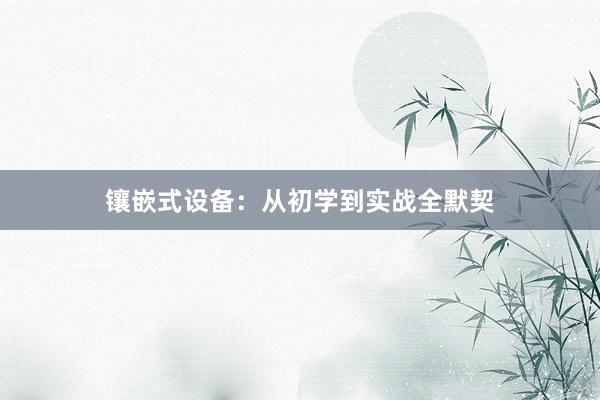 镶嵌式设备：从初学到实战全默契