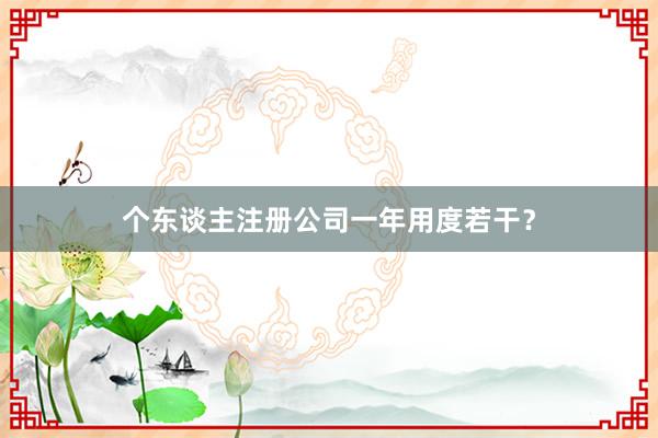 个东谈主注册公司一年用度若干？