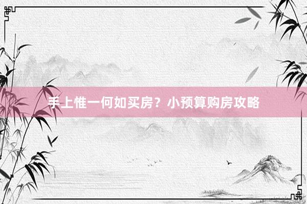 手上惟一何如买房？小预算购房攻略